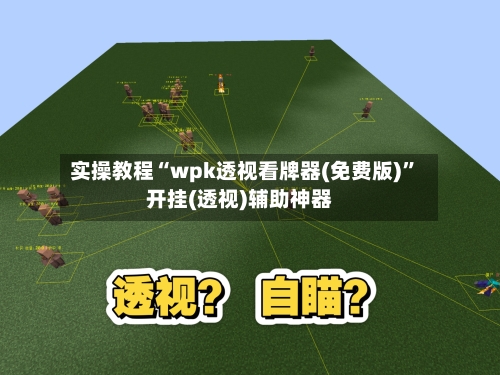 实操教程“wpk透视看牌器(免费版)”开挂(透视)辅助神器-第3张图片