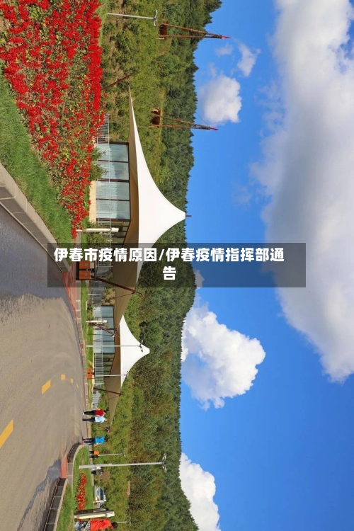 伊春市疫情原因/伊春疫情指挥部通告