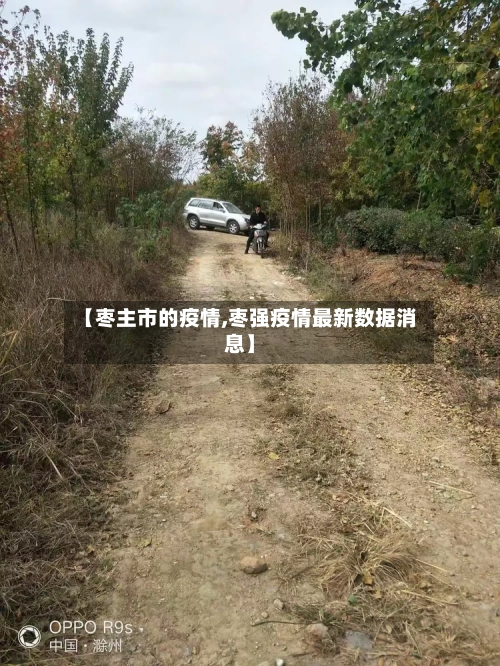 【枣主市的疫情,枣强疫情最新数据消息】
