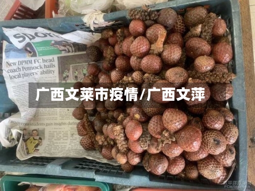 广西文莱市疫情/广西文萍