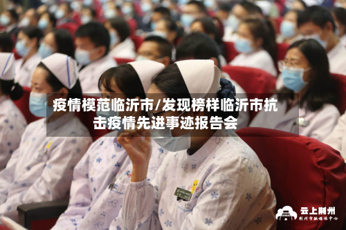 疫情模范临沂市/发现榜样临沂市抗击疫情先进事迹报告会
