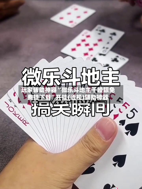 玩家辅助神器“微乐斗地主干瞪眼免费挂下载	”开挂(透视)辅助神器-第3张图片