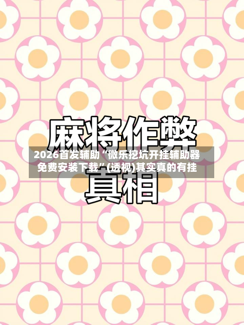 2026首发辅助“微乐挖坑开挂辅助器免费安装下载	”(透视)其实真的有挂-第2张图片