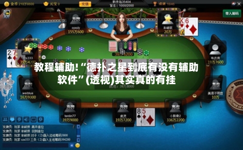 教程辅助!“德扑之星到底有没有辅助软件	”(透视)其实真的有挂-第2张图片