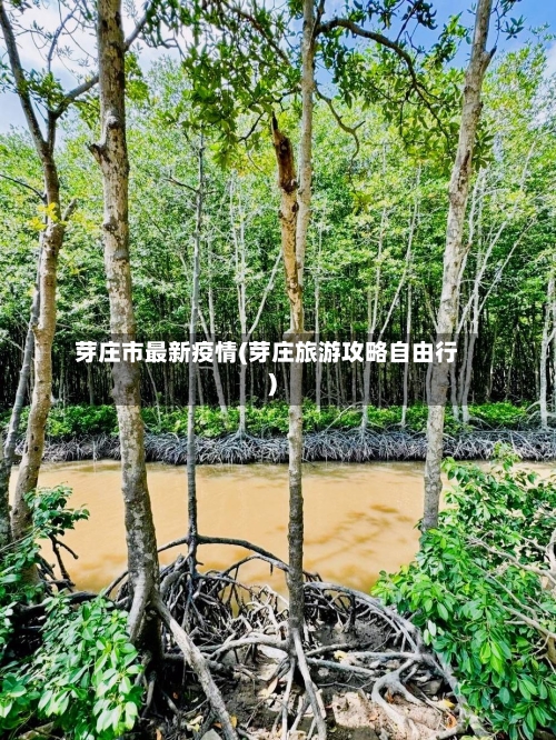 芽庄市最新疫情(芽庄旅游攻略自由行)