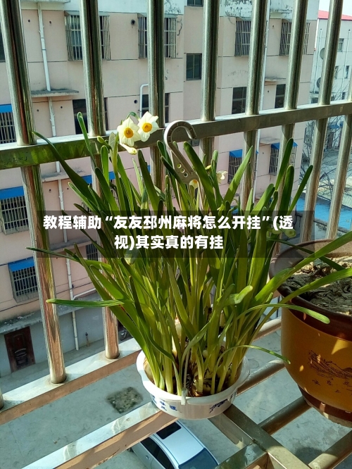 教程辅助“友友邳州麻将怎么开挂”(透视)其实真的有挂-第3张图片