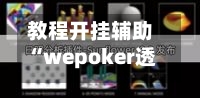 教程开挂辅助“wepoker透视挂使用教程”详细开挂教程-第3张图片