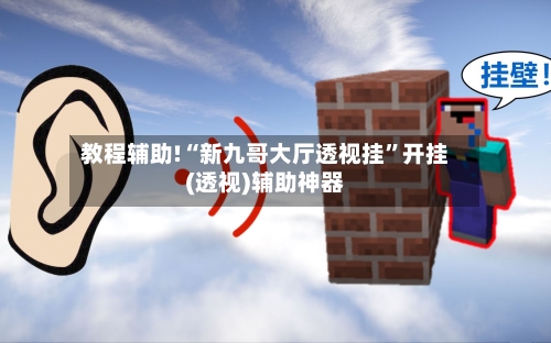 教程辅助!“新九哥大厅透视挂”开挂(透视)辅助神器-第3张图片