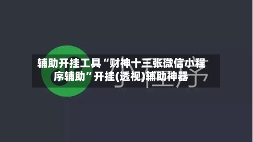 辅助开挂工具“财神十三张微信小程序辅助”开挂(透视)辅助神器-第3张图片