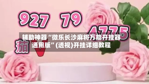 辅助神器“微乐长沙麻将万能开挂器通用版”(透视)开挂详细教程-第2张图片