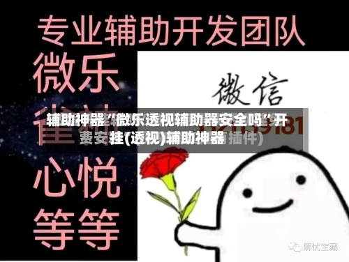 辅助神器“微乐透视辅助器安全吗”开挂(透视)辅助神器-第2张图片