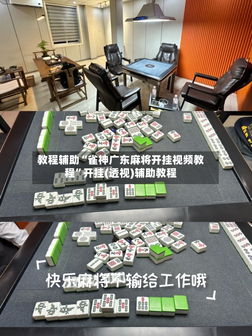 教程辅助“雀神广东麻将开挂视频教程	”开挂(透视)辅助教程-第2张图片
