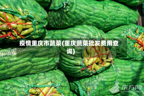 疫情重庆市蔬菜(重庆蔬菜批发费用查询)