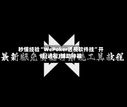 秒懂经验“WePoker透视软件挂	”开挂(透视)辅助神器-第2张图片