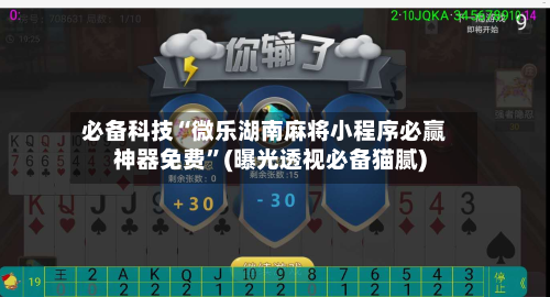 必备科技“微乐湖南麻将小程序必赢神器免费	”(曝光透视必备猫腻)-第2张图片
