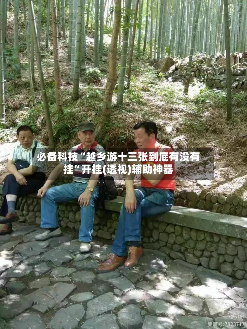 必备科技“越乡游十三张到底有没有挂”开挂(透视)辅助神器-第2张图片