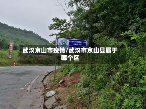 武汉京山市疫情/武汉市京山县属于哪个区-第2张图片