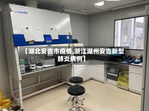 【湖北安吉市疫情,浙江湖州安吉新型肺炎病例】-第2张图片