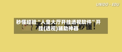 秒懂经验“人皇大厅开挂透视软件”开挂(透视)辅助神器-第2张图片