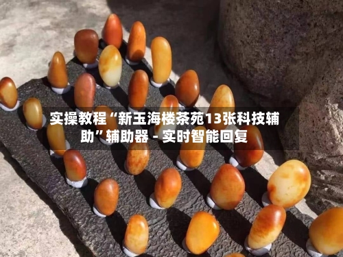 实操教程“新玉海楼茶苑13张科技辅助	”辅助器 - 实时智能回复-第2张图片