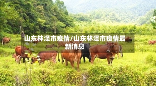 山东林泽市疫情/山东林泽市疫情最新消息-第3张图片