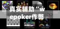 真实辅助“wepoker作弊透视辅助”开挂(透视)辅助神器-第3张图片