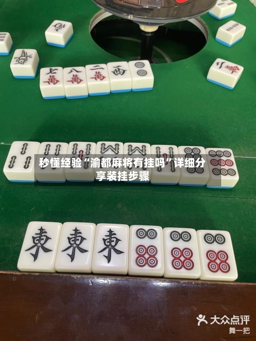 秒懂经验“渝都麻将有挂吗”详细分享装挂步骤-第3张图片