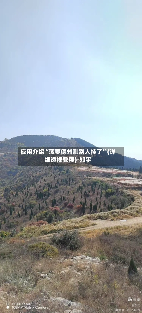 应用介绍“菠萝德州测别人挂了”(详细透视教程)-知乎-第2张图片