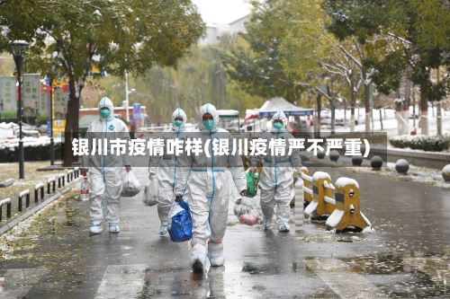 银川市疫情咋样(银川疫情严不严重)-第2张图片