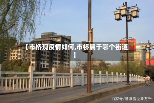 【市桥现疫情如何,市桥属于哪个街道】