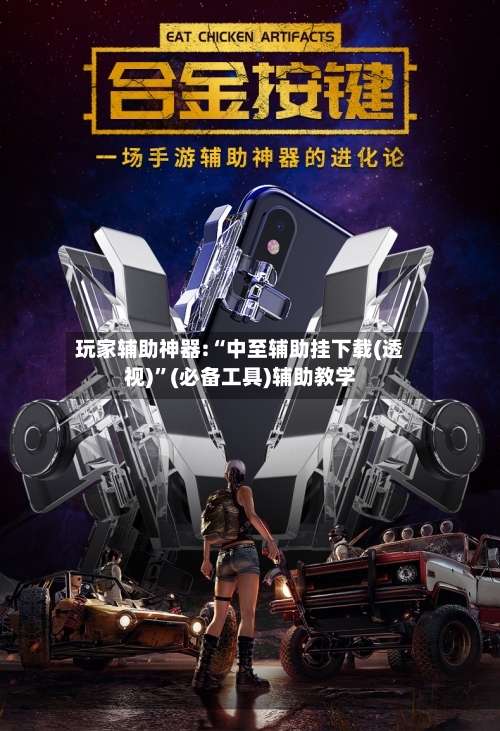 玩家辅助神器:“中至辅助挂下载(透视)”(必备工具)辅助教学-第2张图片