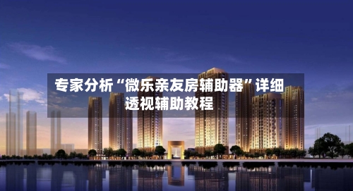 专家分析“微乐亲友房辅助器”详细透视辅助教程-第2张图片