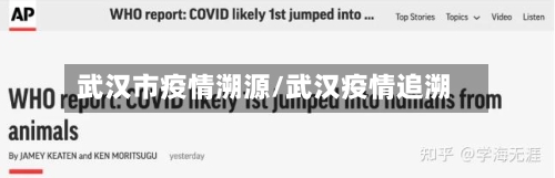 武汉市疫情溯源/武汉疫情追溯