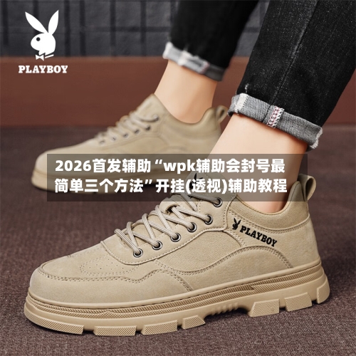 2026首发辅助“wpk辅助会封号最简单三个方法”开挂(透视)辅助教程