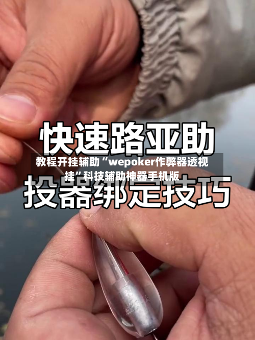 教程开挂辅助“wepoker作弊器透视挂”科技辅助神器手机版