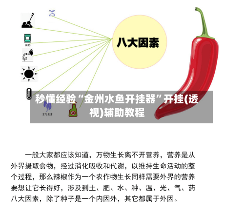 秒懂经验“金州水鱼开挂器	”开挂(透视)辅助教程-第2张图片