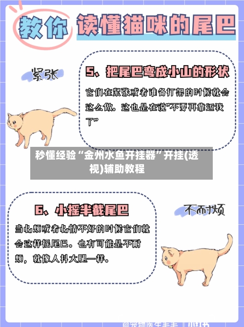 秒懂经验“金州水鱼开挂器”开挂(透视)辅助教程-第3张图片