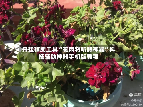 开挂辅助工具“花麻将听牌神器”科技辅助神器手机版教程-第3张图片