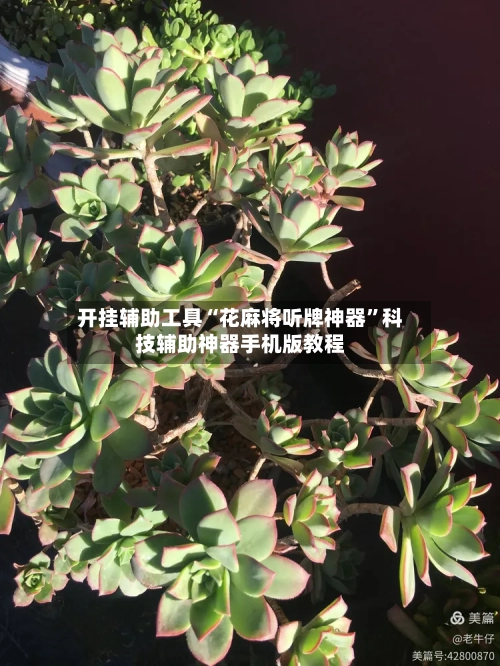 开挂辅助工具“花麻将听牌神器”科技辅助神器手机版教程-第2张图片