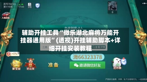 辅助开挂工具“微乐湖北麻将万能开挂器通用版”(透视)开挂辅助脚本+详细开挂安装教程-第2张图片