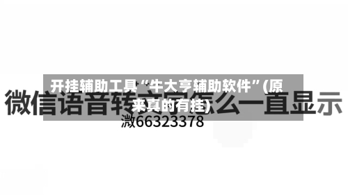 开挂辅助工具“牛大亨辅助软件”(原来真的有挂)-第3张图片