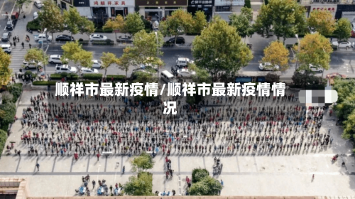 顺祥市最新疫情/顺祥市最新疫情情况-第3张图片