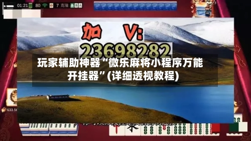 玩家辅助神器“微乐麻将小程序万能开挂器”(详细透视教程)-第2张图片