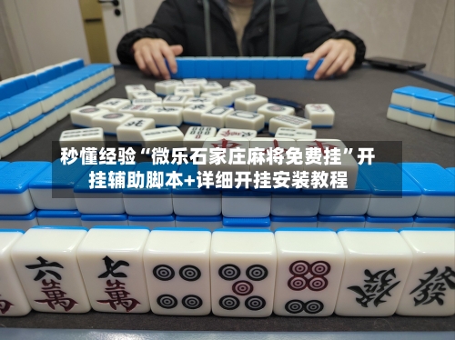 秒懂经验“微乐石家庄麻将免费挂”开挂辅助脚本+详细开挂安装教程-第2张图片