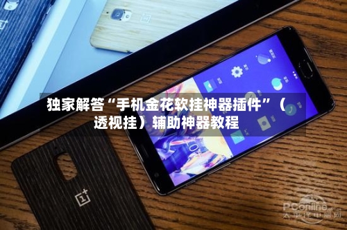 独家解答“手机金花软挂神器插件”（透视挂）辅助神器教程-第2张图片