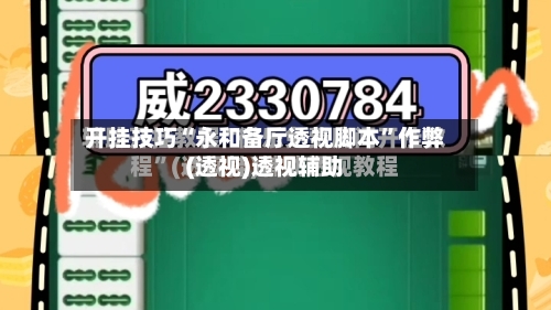 开挂技巧“永和备厅透视脚本”作弊(透视)透视辅助-第2张图片