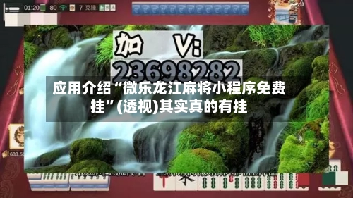 应用介绍“微乐龙江麻将小程序免费挂	”(透视)其实真的有挂-第2张图片