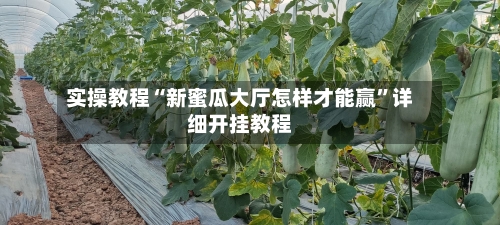 实操教程“新蜜瓜大厅怎样才能赢”详细开挂教程