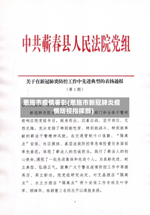 恩施市疫情表彰(恩施市新冠肺炎疫情防控指挥部)