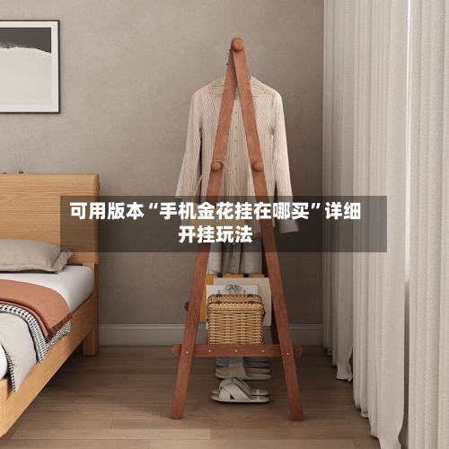 可用版本“手机金花挂在哪买”详细开挂玩法